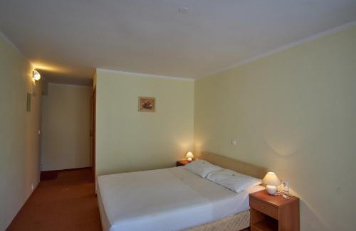 Crikvenica Hotel | Hotel Vila Ružica- glavna zgrada i depandanse