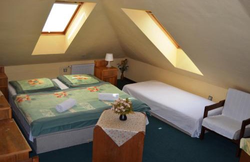 Luhacovice Hotel | Hotel Vincent
