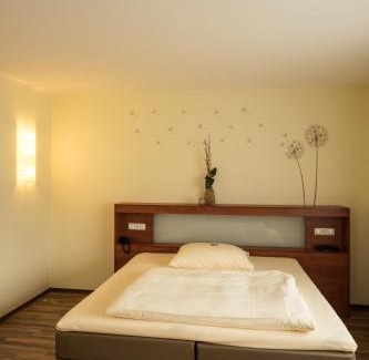 Hochheim am Main Cama Y Desayuno | Hotel Viola