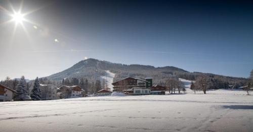 Schladming Hotel | Hotel Waldfrieden