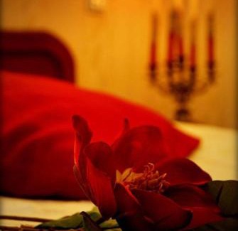 Opole Hotel | Hotel Zaodrze