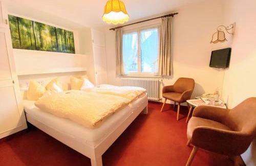 Hinterzarten Hotel | Hotel Zartenbach