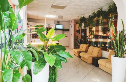 Rivazzurra Hotel | Hotel Zenith