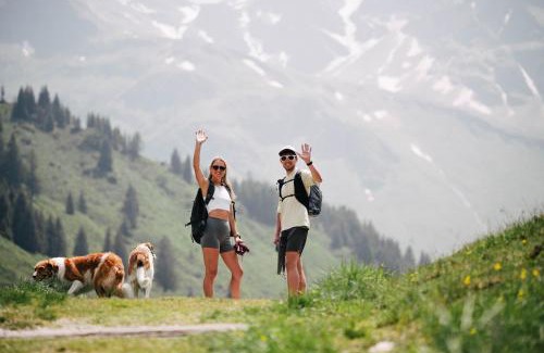 Bad Hofgastein Hotel | Hotel Zum Stern - Bergbahnen inklusive im Sommer 2025