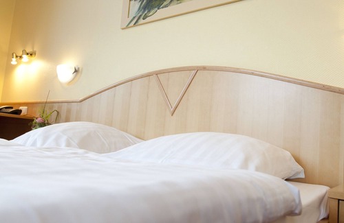 Mainz-Bingen Hotel | Hotel Zwei Mohren