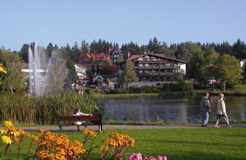 Hahnenklee Hotel | Hotels am Kranichsee