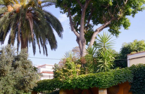 Teror Cabaña | Casa El Borbullón nº2