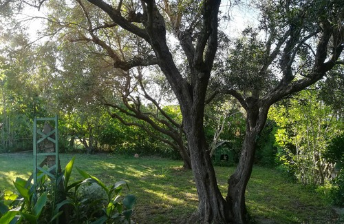 Port-Saint-Louis-du-Rhone Villa | Casa con jardín