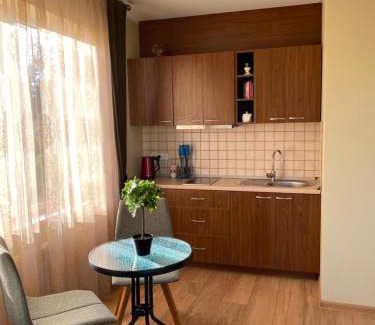 Druskininkai Apartamento | House in Druskininkai Oldtown