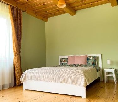 Druskininkai Apartamento | House in Druskininkai Oldtown