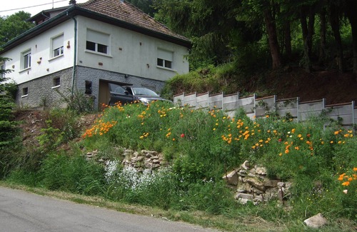 Breitenbach-Haut-Rhin Casa | Casa en Breitenbach