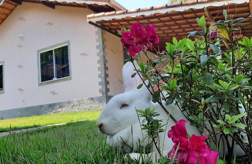 Lumiar Cabaña | House in Lumiar/up to 8 people. Fireplace/private waterfall/bed and bath linen.