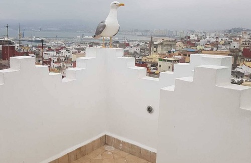 Medina of Tangier Casa | Casa en la medina de tánger con terraza panorámica.