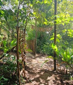 Velha Boipeba Chalet De Esquí | House in the Trees