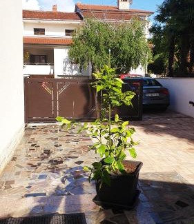 Spadici Apartamento | House Maric
