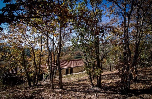 Macieira de Cambra Cabaña | Casa abuelo Ze - Abuelos Casas