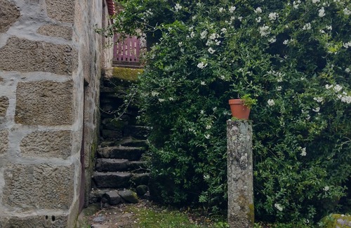 Baiao Casa | House