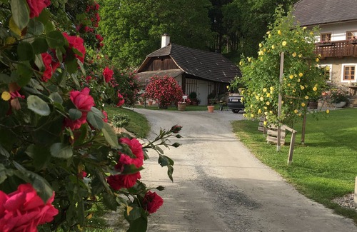 Agsdorf Casa | House, Rose Garden, Woods, nearby Lakes,