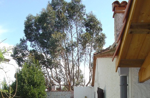 Saint-Jean-Pla-de-Corts Casa | Casa / villa / chalet - Saint jean pla de corts