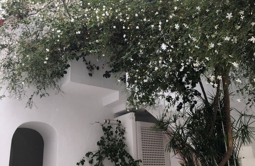 Medina Casa | Casa / villa / chalet - Hammamet