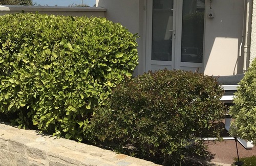 Saint-Ideuc Casa | casa / villa - Saint Malo