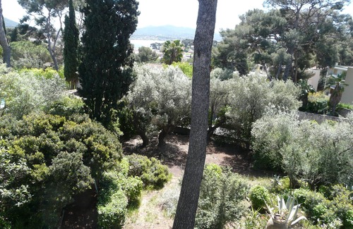Sanary-sur-Mer Casa | Casa / villa / chalet - SANARY SUR MER
