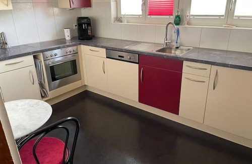 Brienz Apartamento | House with beautiful lake view, garden and pool
