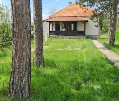 Soko Banja Villa | House with big garden