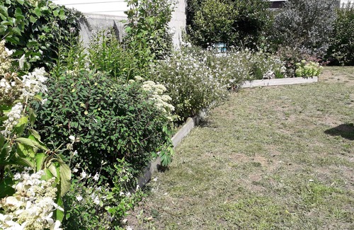 Le Crotoy Casa | House with garden 2 steps from the Bay