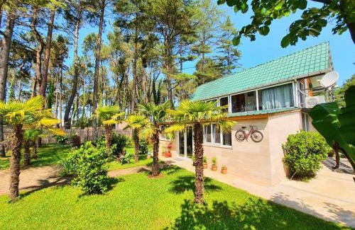 Ureki Casa | House & Yard Sesil Forest 90m to beach Kaprovani