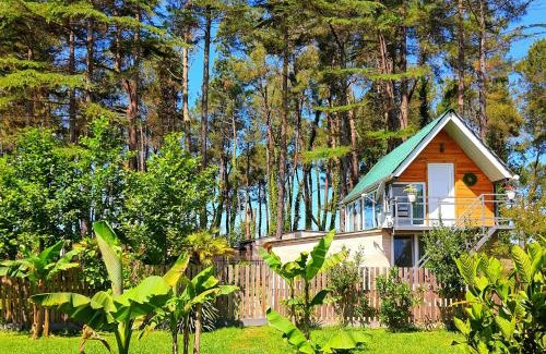 Ureki Casa | House & Yard Sesil Forest 90m to beach Kaprovani