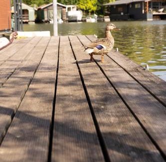 Smichov Alquiler De Eote | Houseboat Daisy