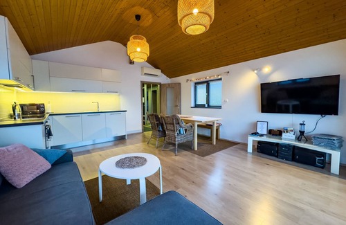 Smichov Alquiler De Eote | Houseboat Franklin + electric boat, max. 6 person