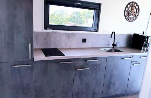 Monnickendam Alquiler De Eote | Houseboat Isola