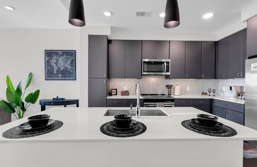 Texas Medical Center Apartamento | HoustonLuxe Penthouse Highrise