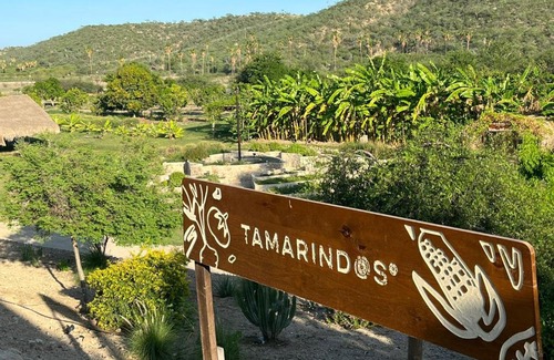 San Jose del Cabo Casa | Huerto Los Tamarindos