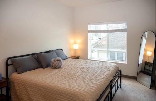 Historic Southwest Apartamento | HUGE New Apartment Next to Mayo, Free Parking