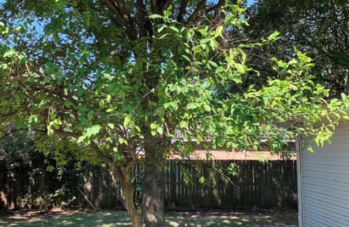 Texas City Casa | Huge Private 3 Bedroom House Large Master Fenced Yard, Galveston, Kemah, Fishing