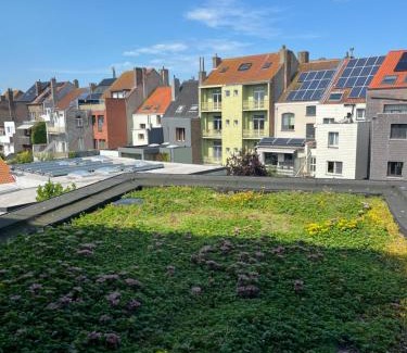 Vogelzang Casa | Huis Agnes