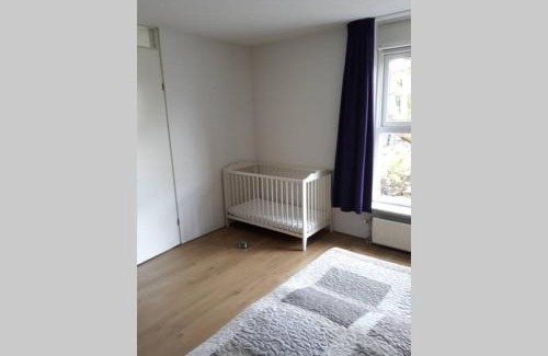 Dordrecht Casa | Huis bij de Catalpa