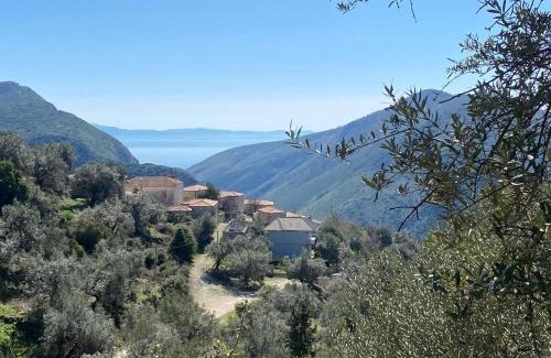 Himare Casa | Hummingbird