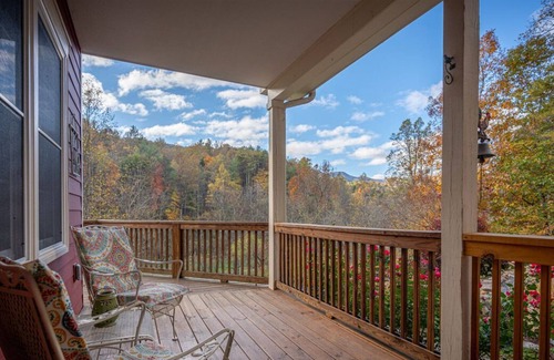 Leicester Casa | Hummingbird Hill Cottage: Peaceful mountain getaway, with mountain and creek views!