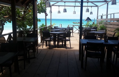 Negril Complejo | Suite Humming Bird en Firefly