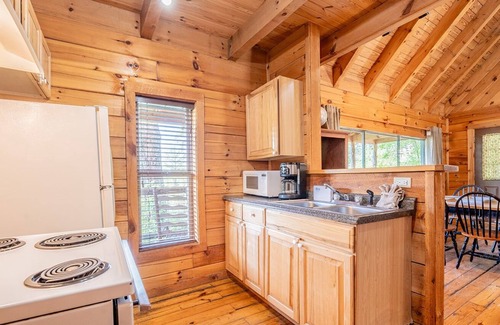 Townsend Cabina | Hunter's Hideaway: Pet Friendly, Free Attraction Tickets, Hot Tub, & Mountain Views