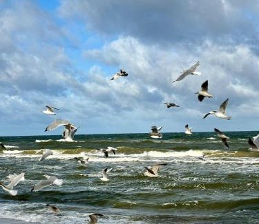 Pobierowo Casa | HUS - caloroczne komfortowe szeregi blisko plazy