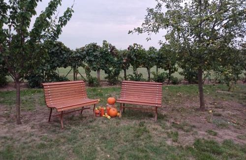 Balatonkiliti Apartamento | HutiFeri apartman