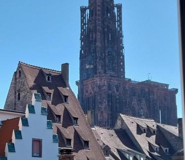 City-Centre - Petite France Apartamento | Hypercentre Strasbourg Vue Cathédrale