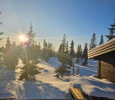 Ringsaker Casa | Hytte i Ringsaker (Ljøsheim/Sjusjøen)