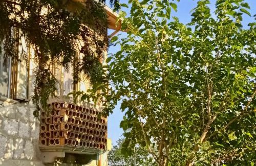 Pennadomo Cama Y Desayuno | i 3 falchi Bed & Breakfast