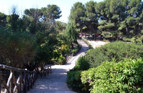 Province of Cagliari Cama Y Desayuno | I fenicotteri rosa
